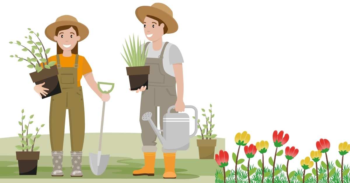 Beginner’s Guide To Starting A Garden: What To Plant, When & How