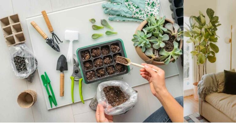 How to Start a Small Home Garden in Buckets