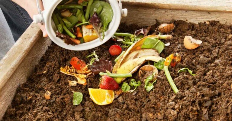 an image of compost for organic gardening
