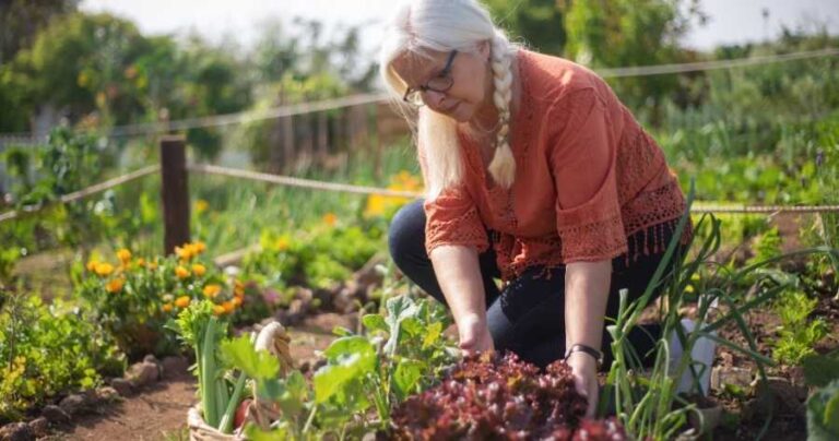 Organic Gardening Secrets No One Talks About