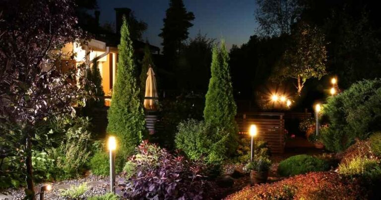 The Best Lighting For Indoor Gardening