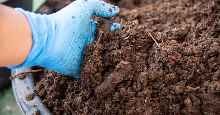 How To Make Natural Fertilizer At Home